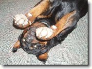 T���khle jsem velik�